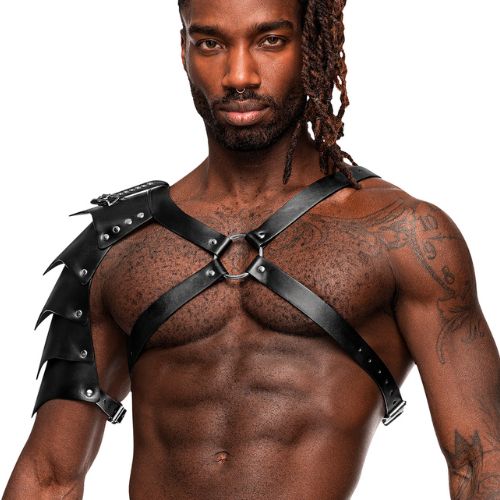 Male Power Aquarius Harness Black from Nice 'n' Naughty